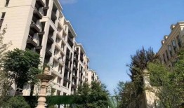 今天楼盘爆料最新消息,揭秘神秘项目即将亮相